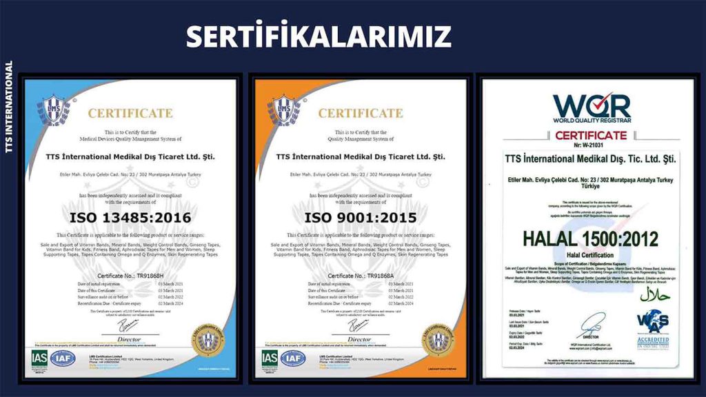 TTS International Sertifikalar 2